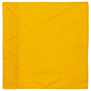 Proact PA087 - BANDEIRA