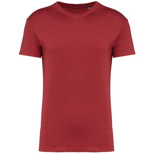 Kariban K3032IC - T-shirt com decote redondo Bio190IC Terracotta Red