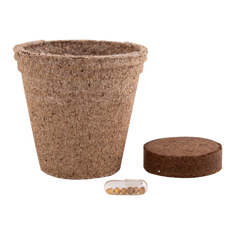 EgotierPro 52080K - VASO BIODEGRADÁVEL CERES