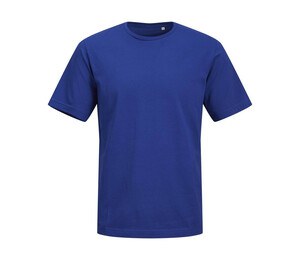 Surf The Web Azul
