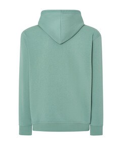 Verde Musgo