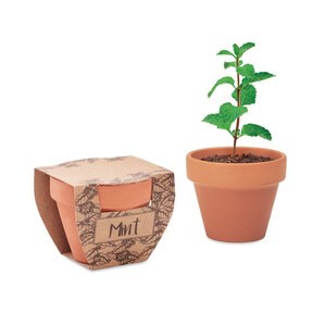 GiftRetail MO2218 - MINT POT Sementes de hortelã em vaso